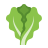 Leafy Greens