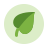 organic-food