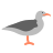 Aves Marinhas