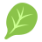 Spinach
