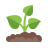 Fáciles de plantar