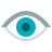 Vision Icon