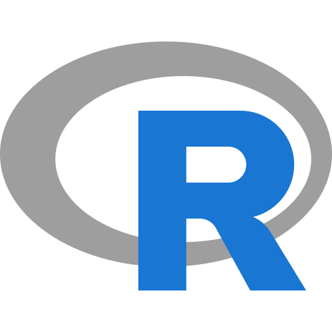 R icon