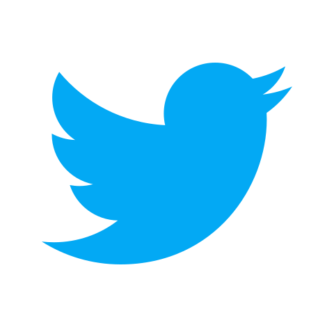 カラー スタイルでの ツイッター のアイコン カラー スタイルでの ツイッター のアイコン