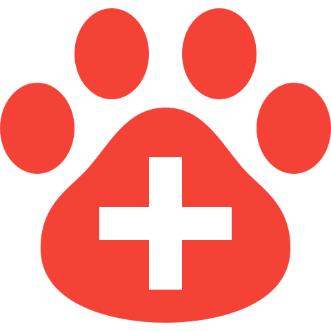 Veterinary team