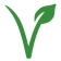vegetarian