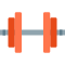 Workout Icon