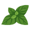 Organic Herbs