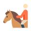 Equestrian Skin Type 1 icon