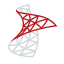 Microsoft SQL Server icon in Color Style