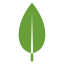 MongoDB