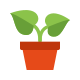 potted plant--v2 icon