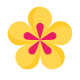 spa flower icon