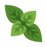 Leaf Doodle