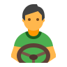 Professional Drivers
