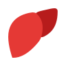 Liver Icon