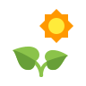 Gardening Tips