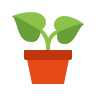 Potted Plant