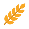 main-icon