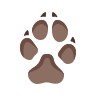 Pet Friendly