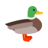 Duck Sound Icon