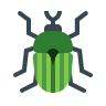 Pest