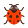 Bug Bounty