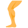 Leg