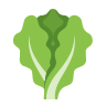 Salade
