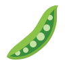 Haricots