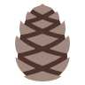 Pinecone
