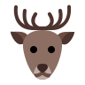 Reindeer