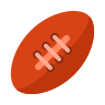 Sports Management