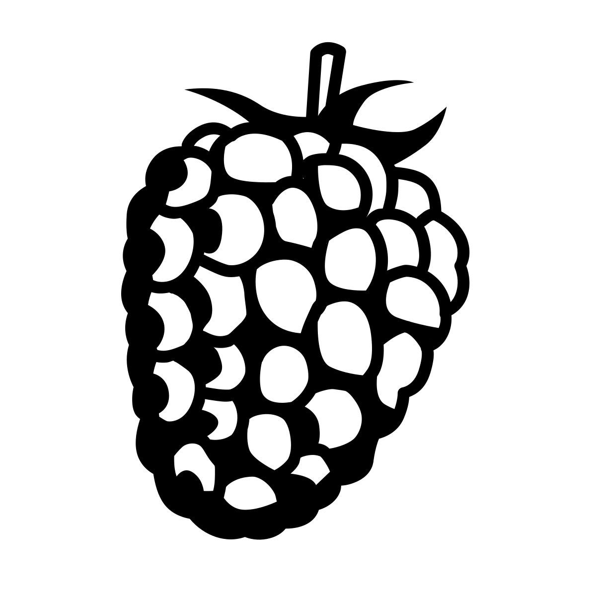 comic style raspberry icon
