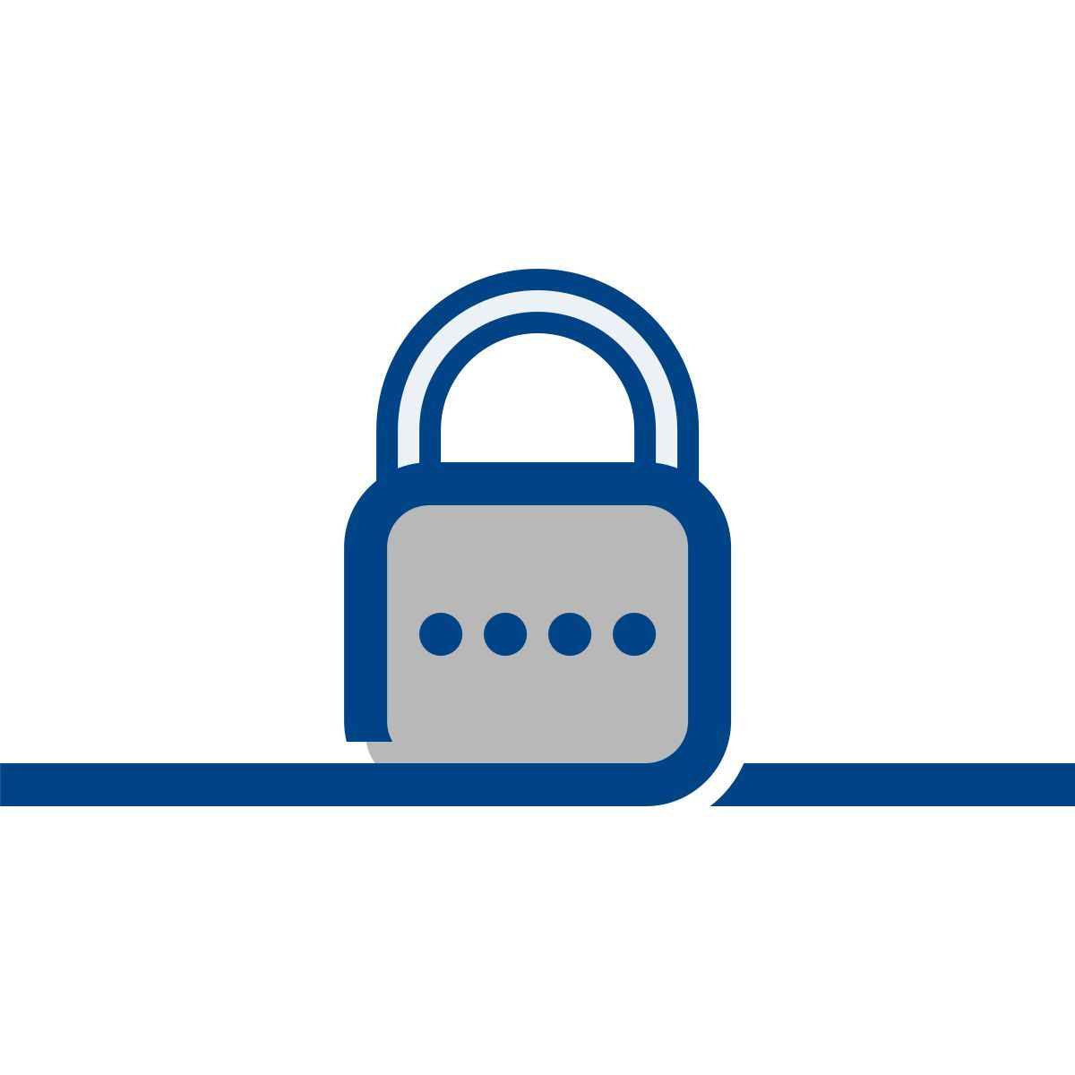 connect color style password icon