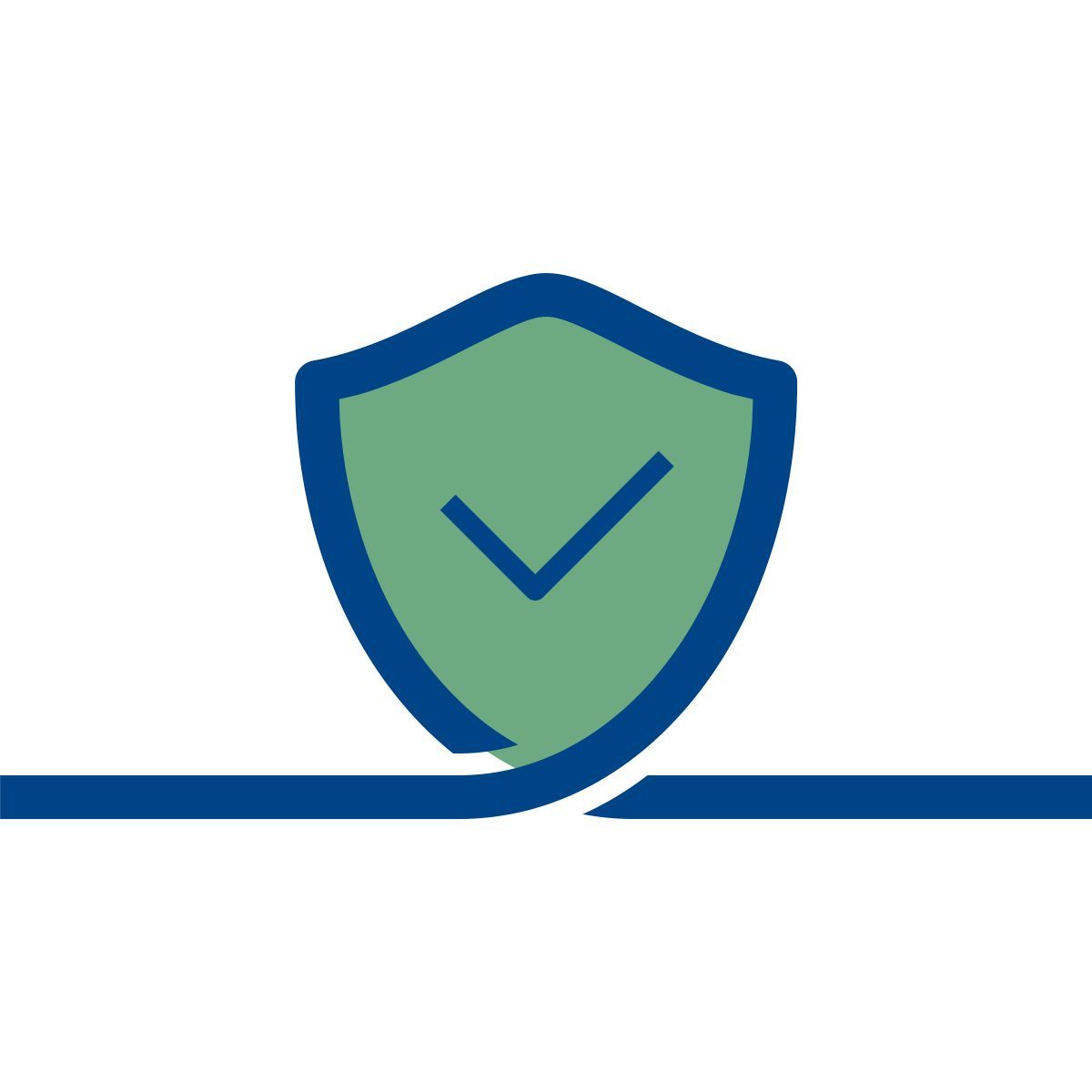 connect color style protezione selezionata icon