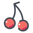cherry -v1 icon