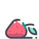 Erdbeere icon