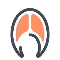 Fish Icons In Pastel Style For Graphic Design And User Interfaces