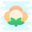 cotton