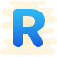 R icon