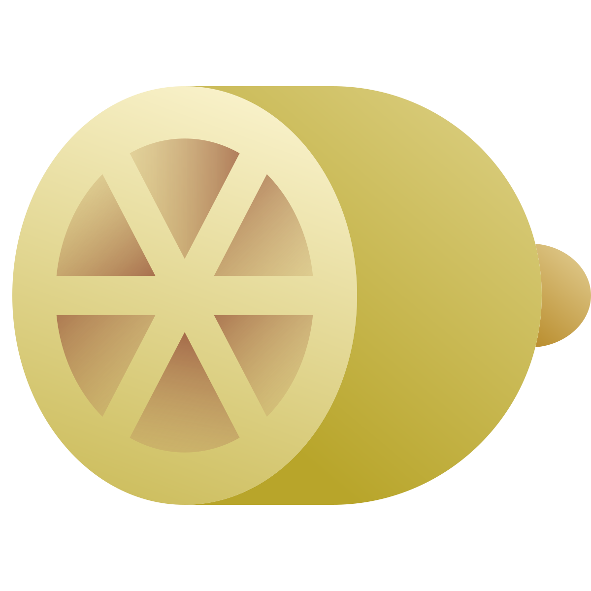 deco color style citrus icon