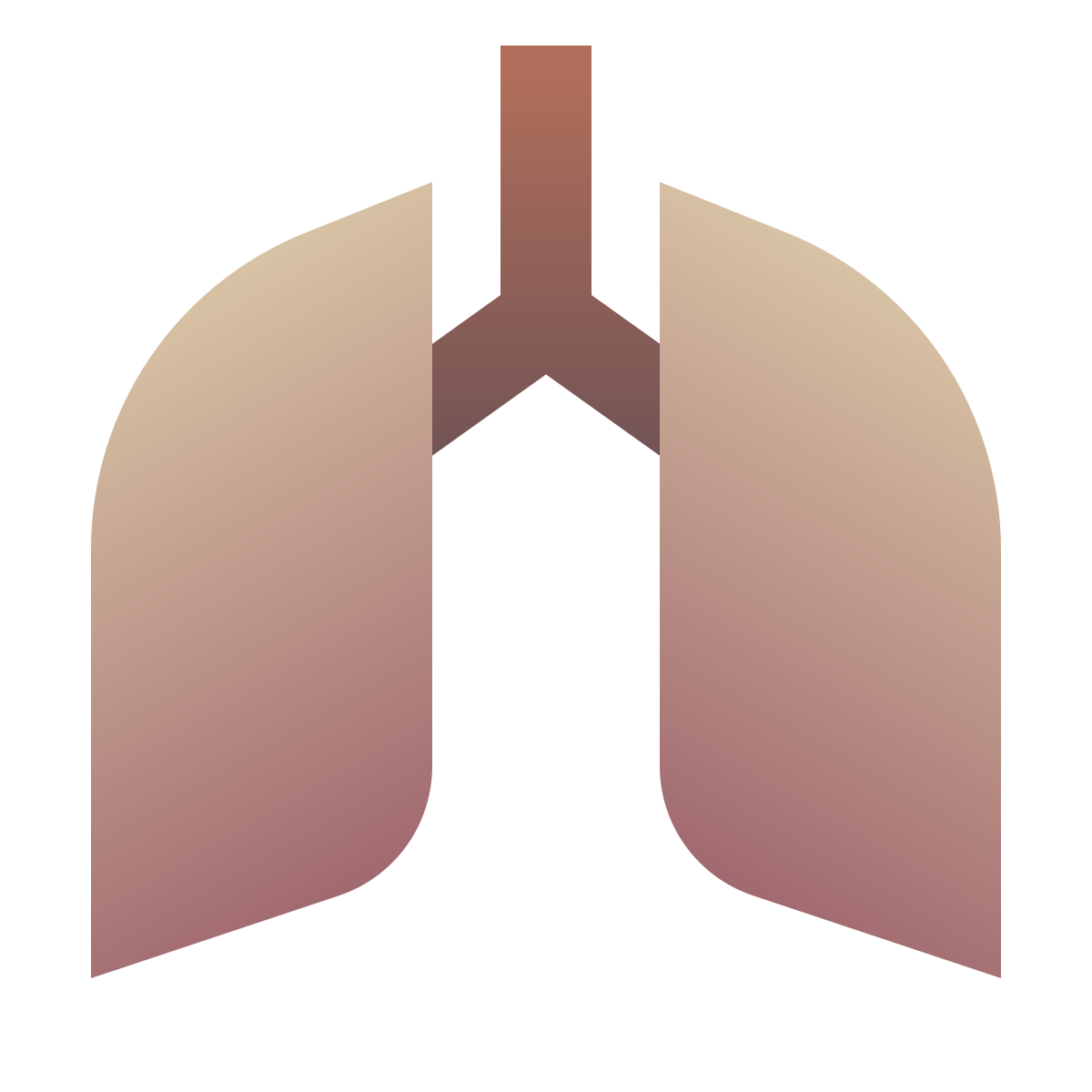 deco color style lungs icon