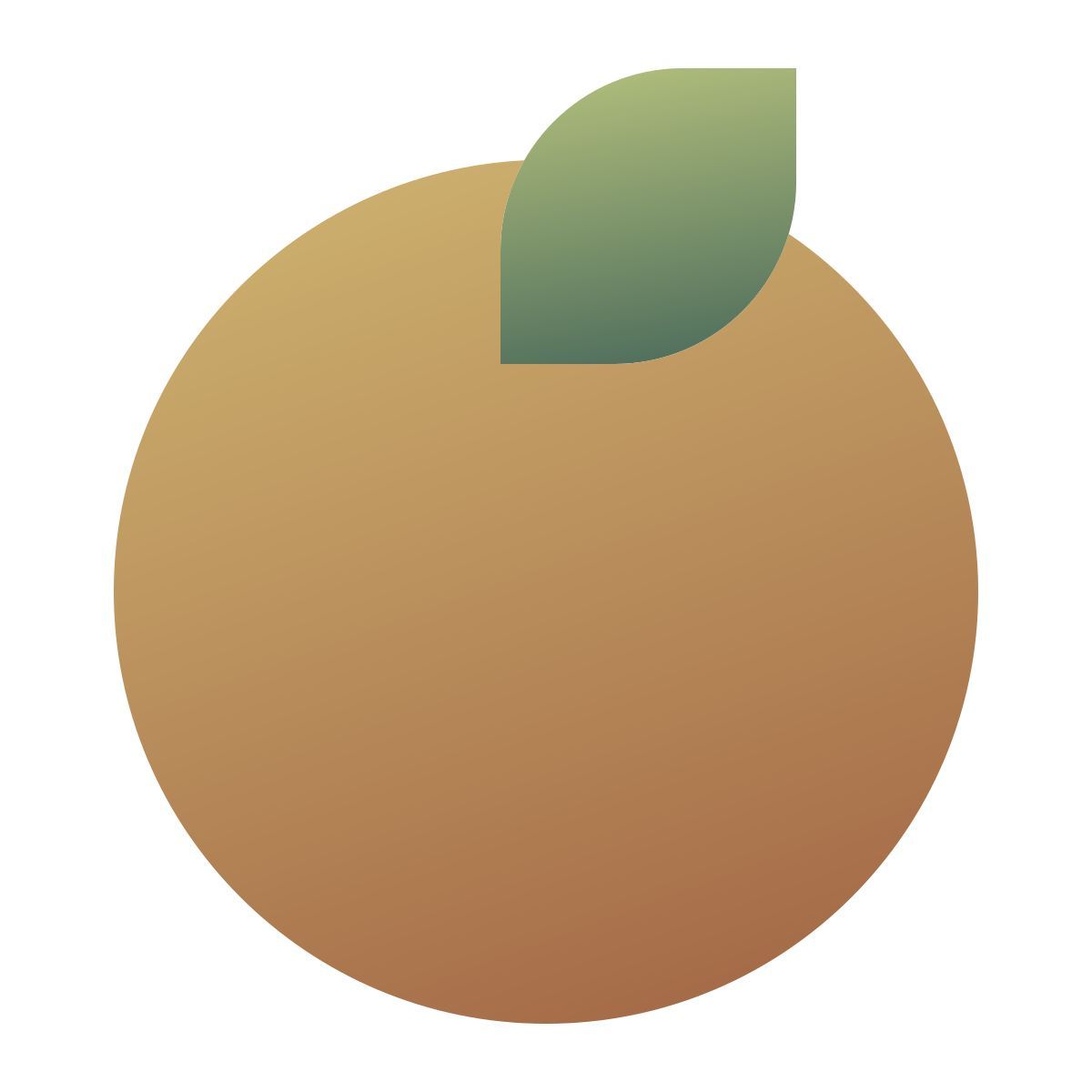 deco color style orange icon