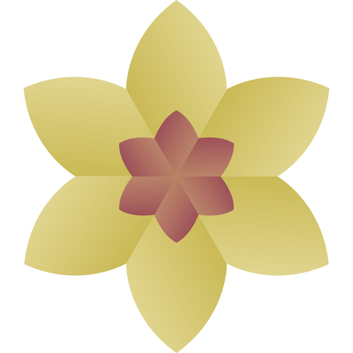 deco color style spa flower icon