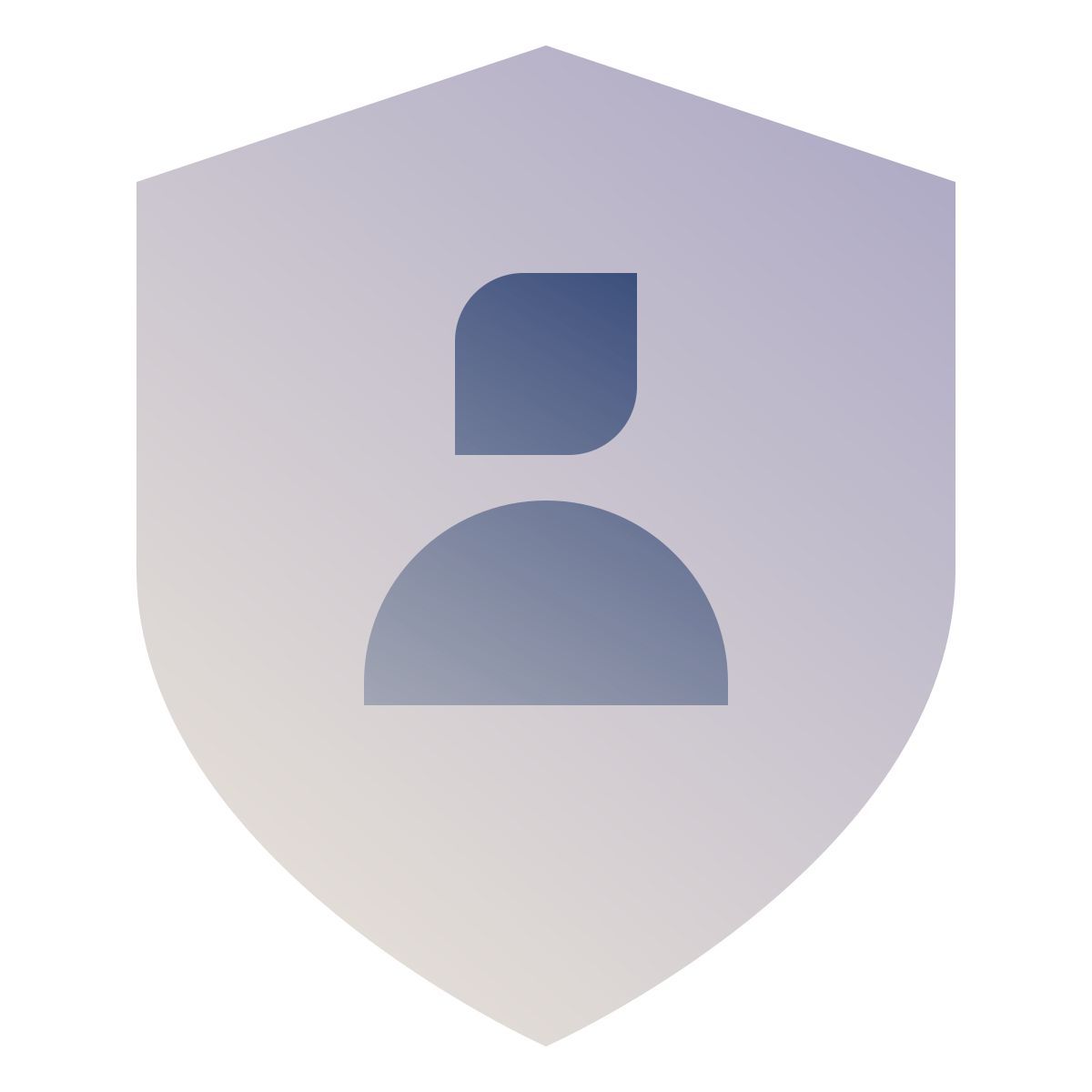 deco color style user shield icon