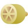 citrus icon