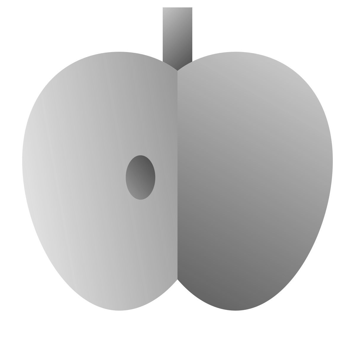 deco duotone style pomme icon