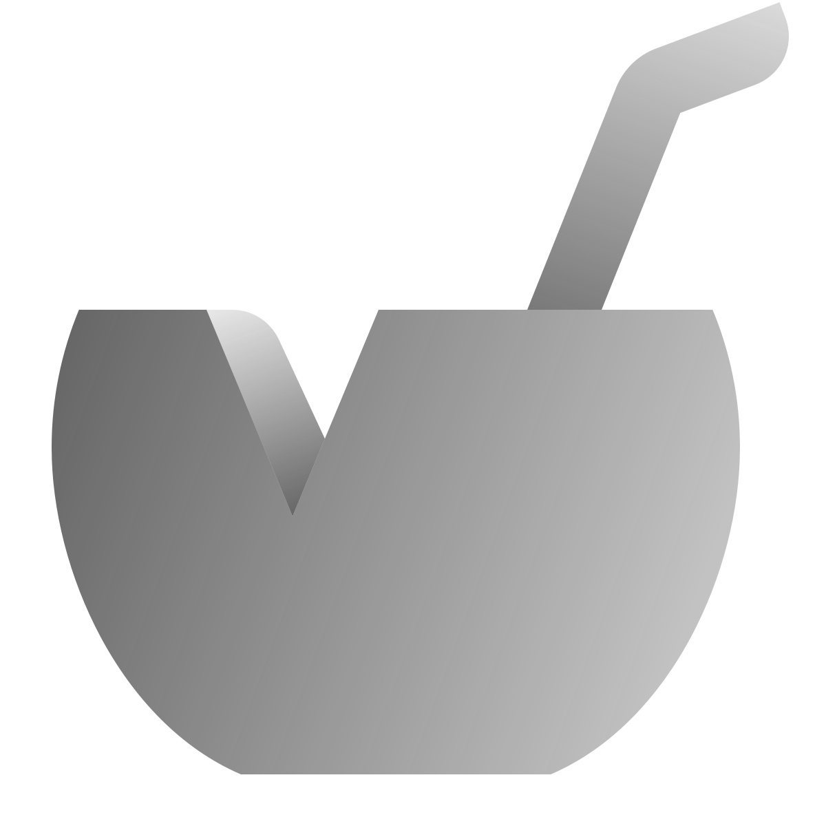deco duotone style coconut cocktail icon