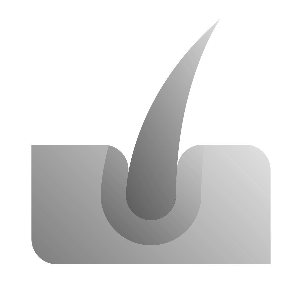 deco duotone style peau icon